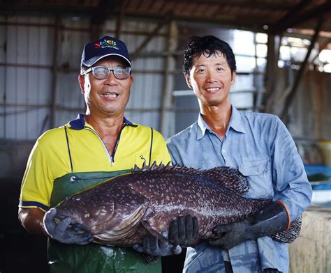 虎邊 養魚|龍虎石斑拓內銷，加工聯名齊出招 高雄市永安區龍虎。